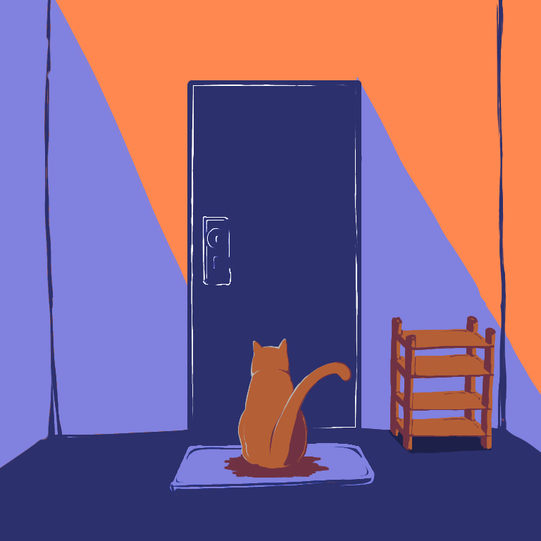Cat in front of door