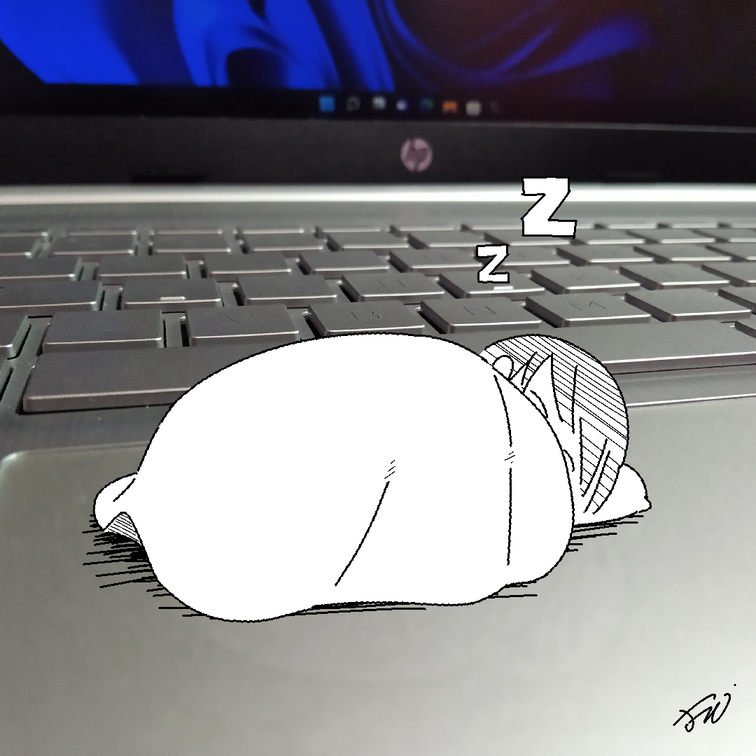 Boy sleeping on a laptop